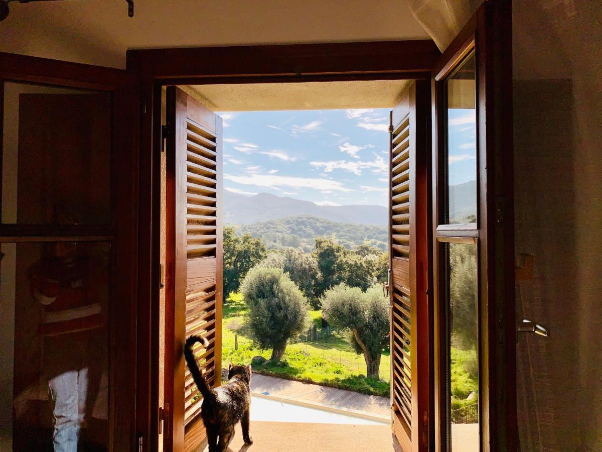 Domaine De Tappa - Casa Filicina Villa *