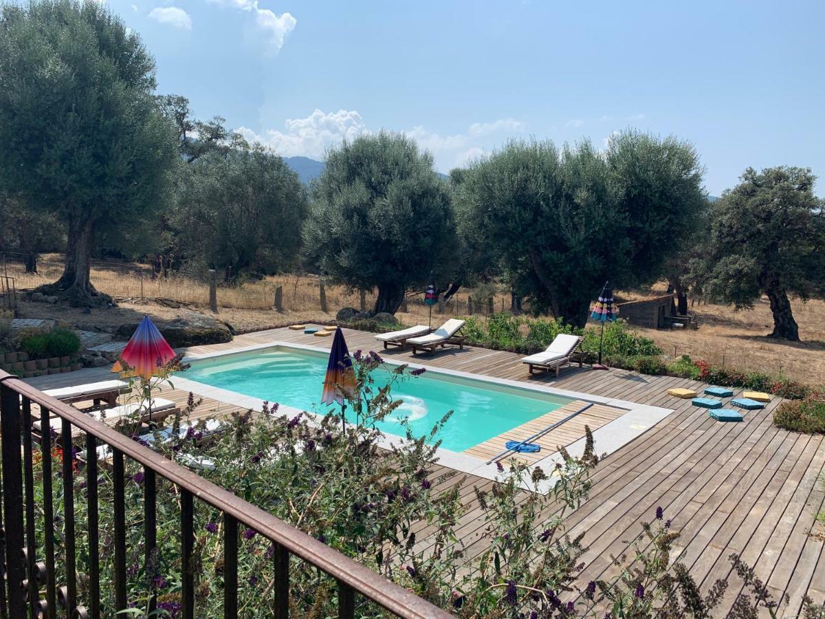 Domaine De Tappa - Casa Filicina * Sollacaro