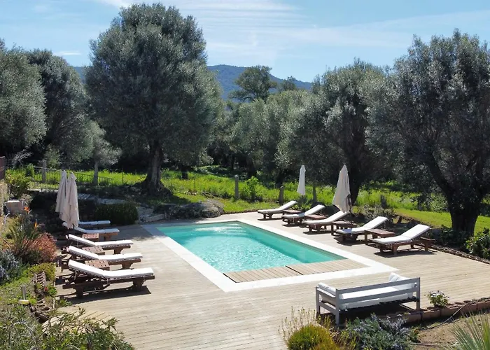 Domaine De Tappa - Casa Filicina