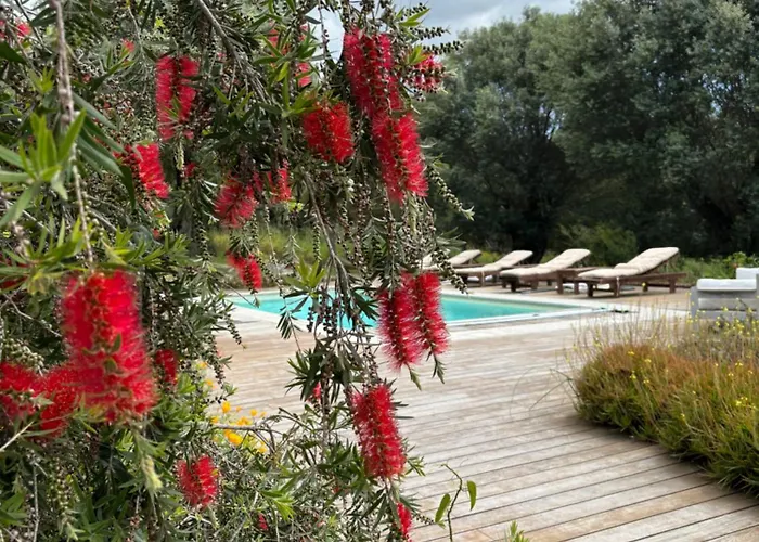 Domaine De Tappa - Casa Filicina