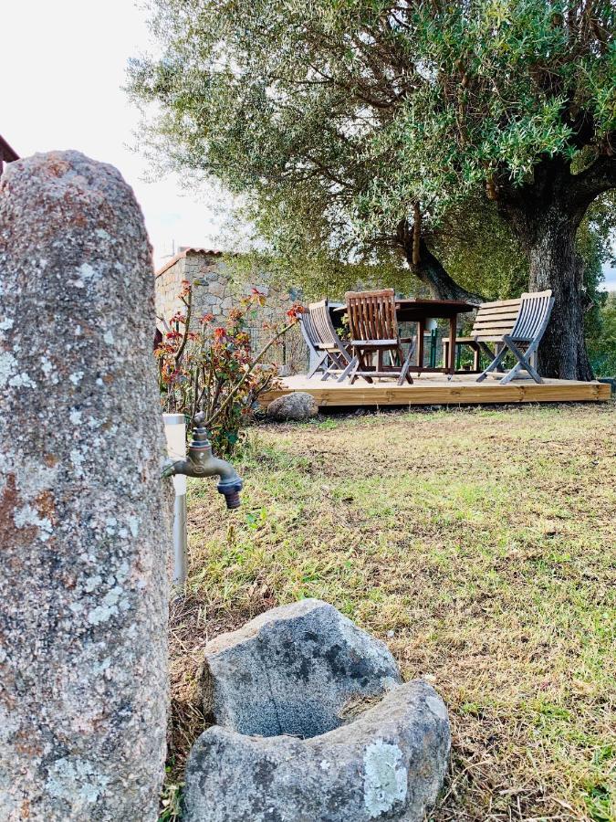 Domaine De Tappa - Casa Filicina Villa