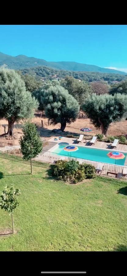 Villa Domaine De Tappa - Casa Filicina *