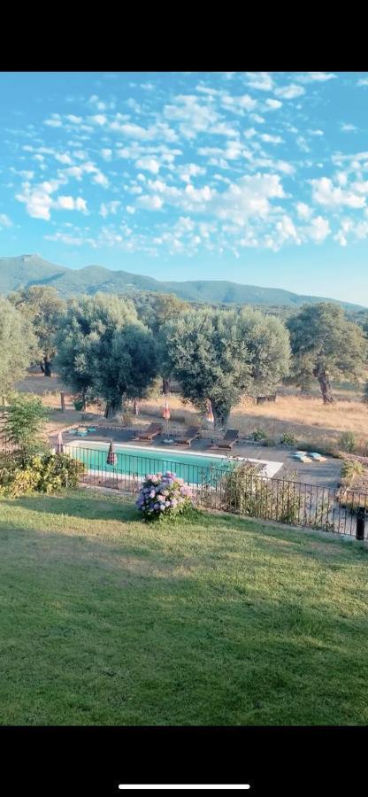 Domaine De Tappa - Casa Filicina Sollacaro