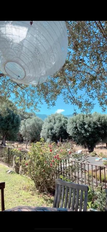Domaine De Tappa - Casa Filicina Villa