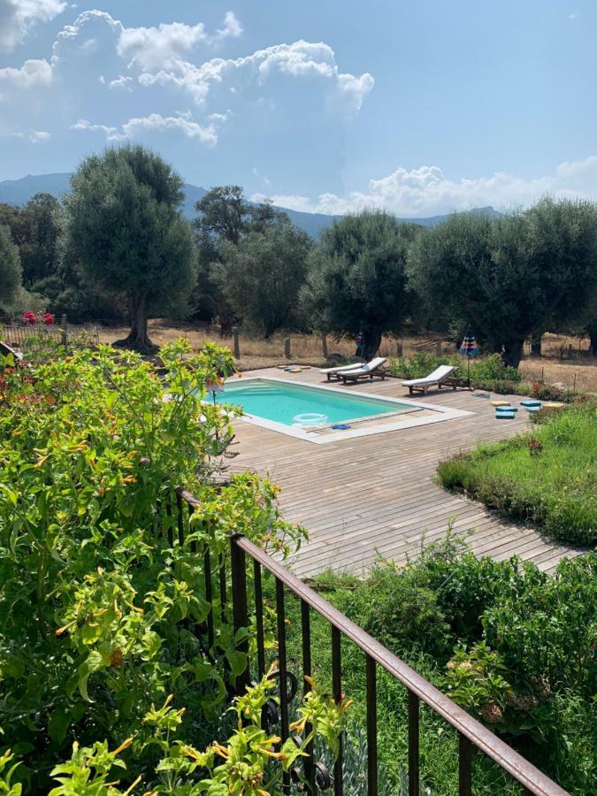 Domaine De Tappa - Casa Filicina Villa Sollacaro