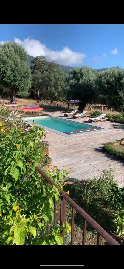 Villa Domaine De Tappa - Casa Filicina *
